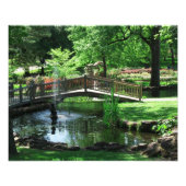 Pond Bridge-foto Foto Afdruk (Voorkant)