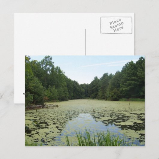 Pond Briefkaart (Voorkant / Achterkant)