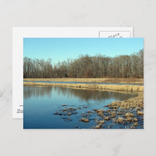 Pond Briefkaart (Voorkant / Achterkant)