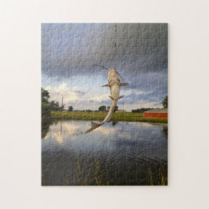 Pond Catfish Legpuzzel