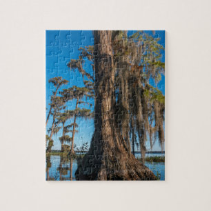 Pond Cypress Tree in een moeras Legpuzzel