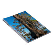 Pond Cypress Tree in een moeras Notitieboek (Rechterzijde)