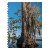 Pond Cypress Tree in een moeras Notitieboek (Voorkant)