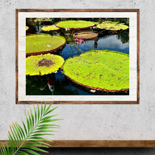 Pond- en Leaves Puerto Vallarta Poster