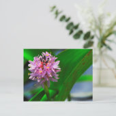 Pond Flower Briefkaart (Staand voorkant)