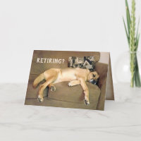 Pond hond bij pensionering op couche