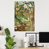 Pond Life Poster (Thuiskantoor)