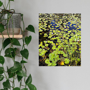 Pond Lily Pads en Reeds Floral Acryl Muurkunst
