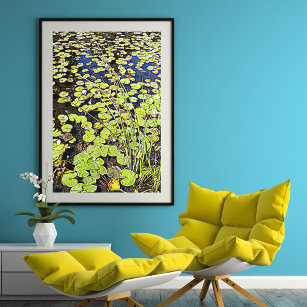 Pond Lily Pads en Reeds Photographic Poster