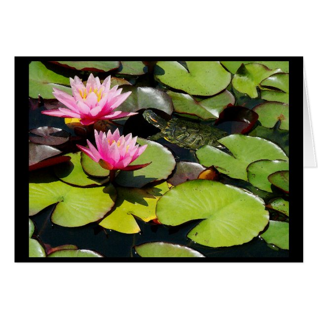 Pond Lilypad & Turtle Card (Devant horizontal)
