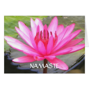 Pond Lotus Tranquility l Namaste