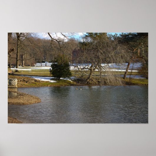 Pond Photo Poster (Voorkant)