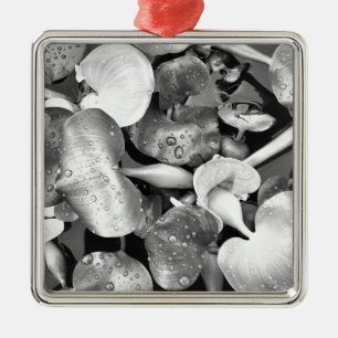 Pond Plant en zwart-wit Metalen Ornament