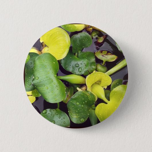 Pond Plant in de supermarkt Ronde Button 5,7 Cm (Voorkant)