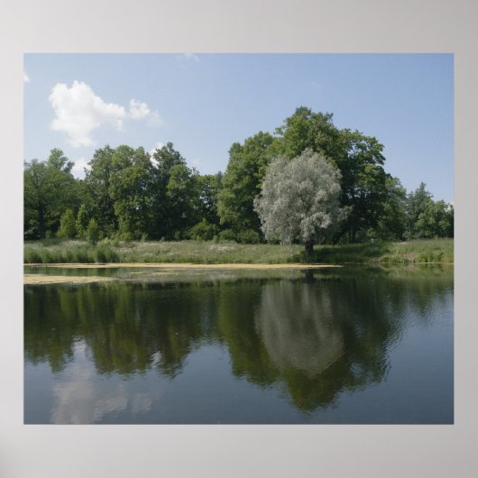 Pond Poster (Voorkant)