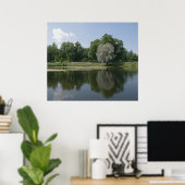 Pond Poster (Thuiskantoor)