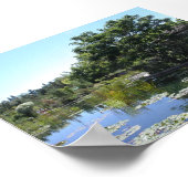 Pond Poster (Hoek)