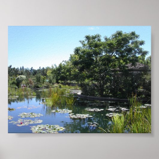 Pond Poster (Voorkant)