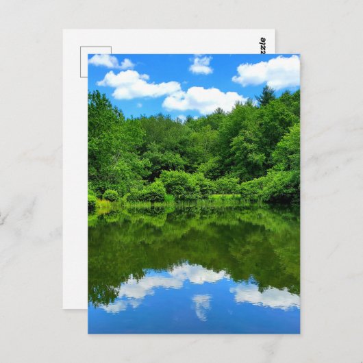 Pond Reflection Briefkaart (Voorkant / Achterkant)