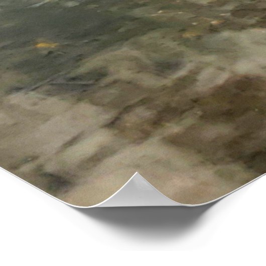 Pond Reflection Poster (Hoek)