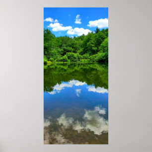 Pond Reflection Poster
