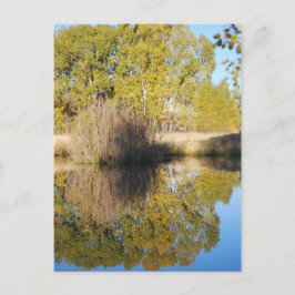 Pond Reflections Wild Cattails Autumn Briefkaart