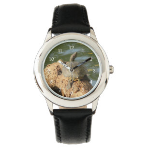 Pond Turtle Horloge