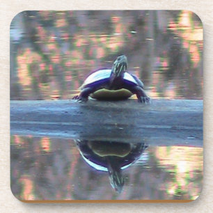 Pond Turtle Reflection Onderzetter