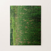 Pond van fluffy Cattails Orton-effect Legpuzzel (Verticaal)