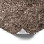 Pond Waterscape Sunset Photo Poster (Coin)