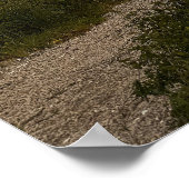 Pond Waterscape Sunset Photo Poster (Coin)