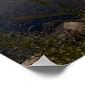 Pond Waterscape Sunset Photo Poster (Coin)