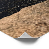 Pond Waterscape Sunset Photo Poster (Coin)