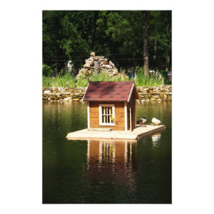Pond with bird house foto afdruk