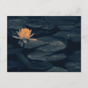 "Pondering At the Pond" - Briefkaart