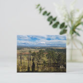 Ponderosa Pine uit Devils Tower Briefkaart (Staand voorkant)