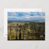 Ponderosa Pine uit Devils Tower Briefkaart (Voorkant / Achterkant)