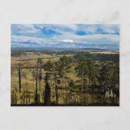 Ponderosa Pine uit Devils Tower Briefkaart