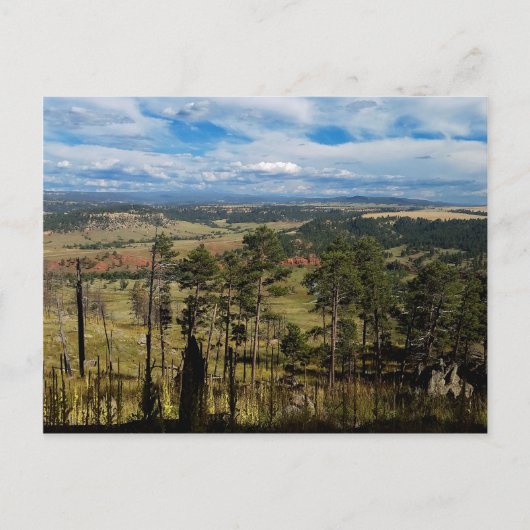 Ponderosa Pine uit Devils Tower Briefkaart (Voorkant)