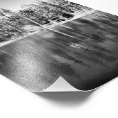 Ponderosa Pines Reflection Foto Afdruk (Hoek)