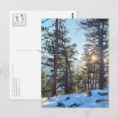 Ponderosa Shine Colorado Carte postale (Devant / Derrière)