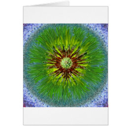 Ponderosa Sunburst Mandala