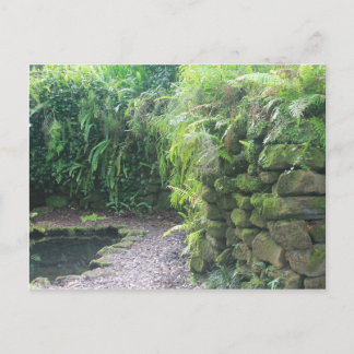 Pond's Grotto Briefkaart