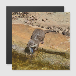 **"Pondside Feest: een otter en zijn vangst"**