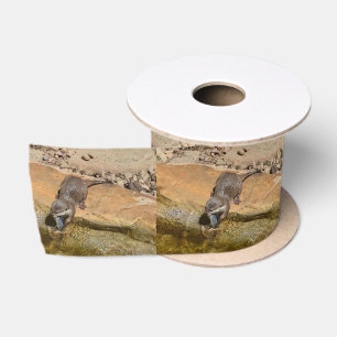 **"Pondside Feest: een otter en zijn vangst"** Lint