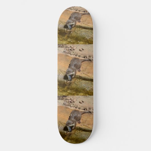 **"Pondside Feest: een otter en zijn vangst"** Skateboard (Voorkant)
