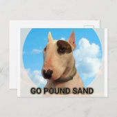 Pondzand briefkaart (Voorkant / Achterkant)