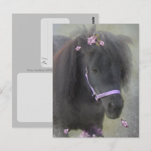 Poney - Carte postale (Devant / Derrière)