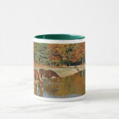 Poneys buvant la tasse (Centre)