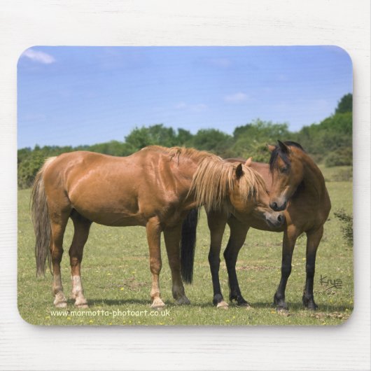 Poneys dans le tapis de souris d'amour (Devant)